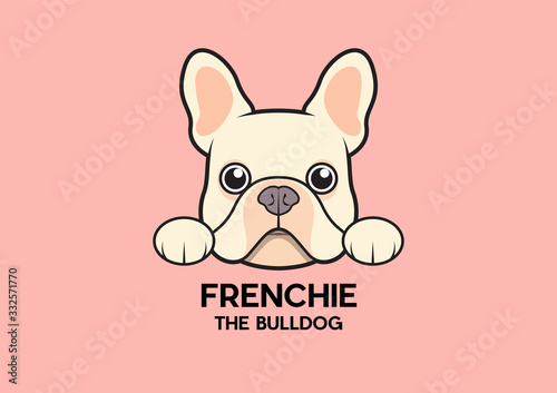A cute little frenchie is stick to the edge of the table and waiting for some foods. The brown-cream French Bulldog Logo. This is Frenchie Series in portrait photo style.