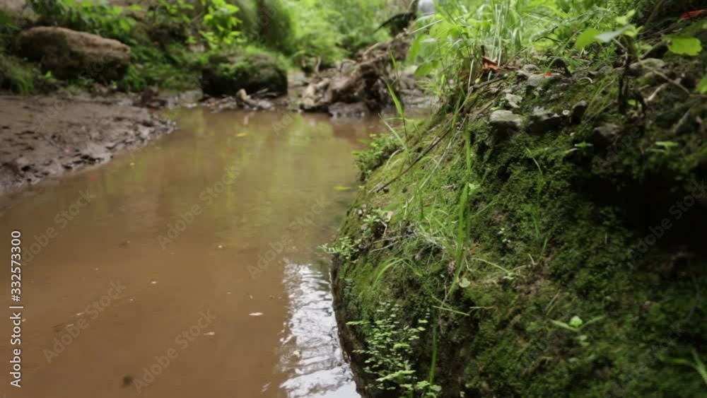 Natural habitat of the mexican Ferocious water big Natural habitat of the mexican Ferocious water big