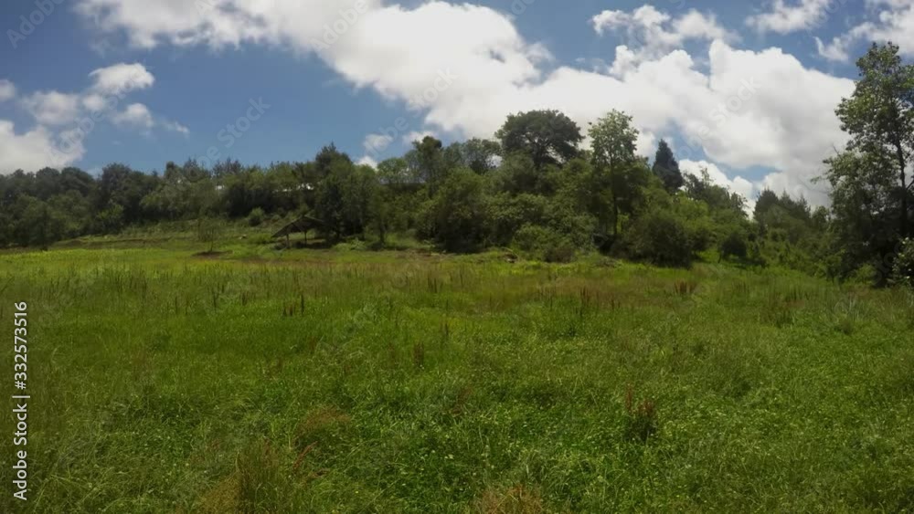 Time lapse of windy hillside with a forest edge Time lapse of windy hillside with a forest edge