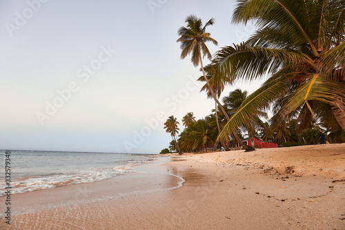 Paradise beach. Tropical paradise, white sand, beach, palm trees and clear water.