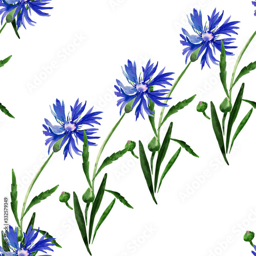 Watercolor illustration of a bouquet of wildflowers  cornflowers on a colored background