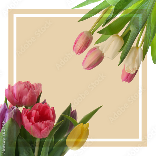 Fototapeta Naklejka Na Ścianę i Meble -  Beautiful greeting card with tulips