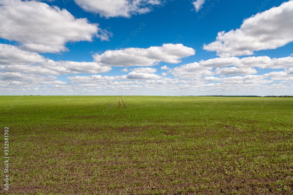 Agricultural land and landscape