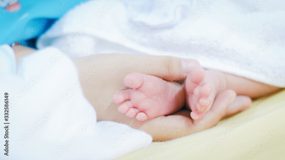Close up and selective focus of mother holding baby feet . family and love concept. Close up and selective focus of mother holding baby feet . family and love concept.