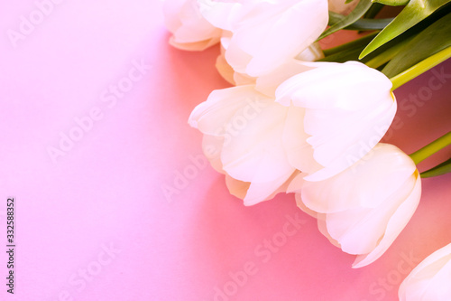 Bouquet of white tulips on a pink background. The concept of congratulating women on spring holidays. Place for text. Flat layout.