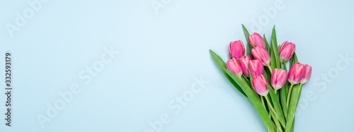 Fototapeta Naklejka Na Ścianę i Meble -  Long horizontal banner with pink tulips on blue background. Top view. Copy space for text