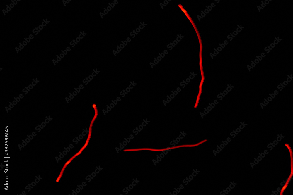 Background, Art of neon light Background, Art of neon light