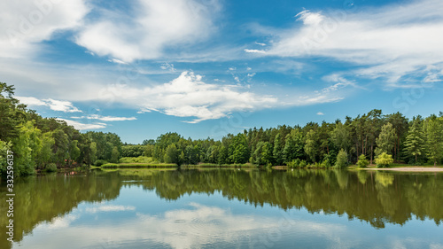 view of pond surrounded with trees with blue cloudy sky