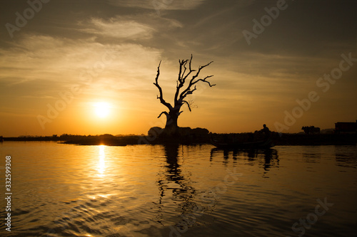 Sunset and tree  on the lake.