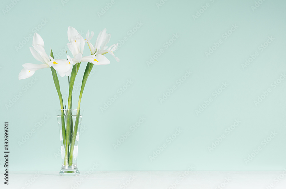 Spring fresh white iris bouquet in transparent glass on trendy green mint menthe interior soft light white wood board, copy space.