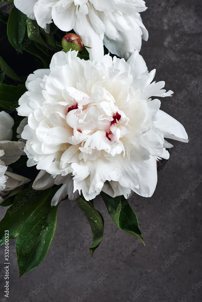 Bouquet of white peony flowers Bouquet of white peony flowers