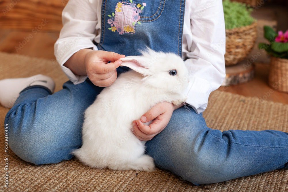 Little girl holding cute fluffy rabbit, closeup. Adorable fluffy white bunny in hands child. Cute pet rabbit being cuddled by his owner. Friendship. Concept of love for animals. Healthcare. Easter Little girl holding cute fluffy rabbit, closeup. Adorable fluffy white bunny in hands child. Cute pet rabbit being cuddled by his owner. Friendship. Concept of love for animals. Healthcare. Easter