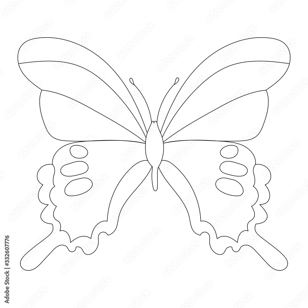 sketch butterfly, insect on a white background sketch butterfly, insect on a white background