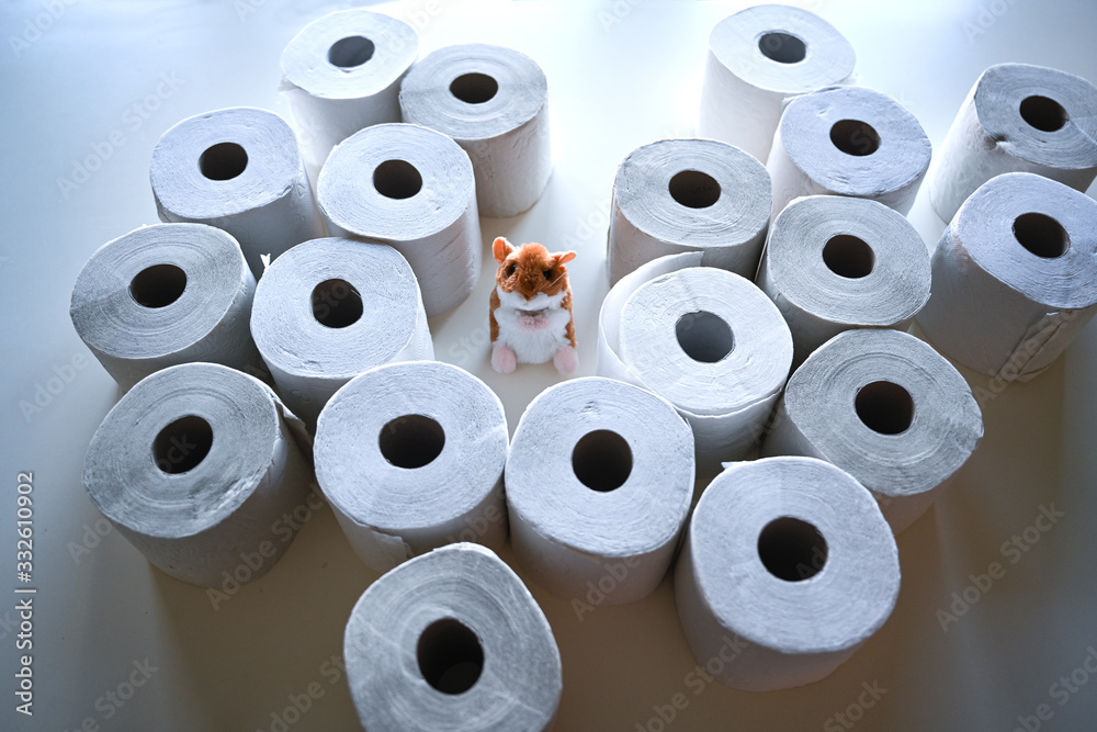 Hamsterkäufe mit Toilettenpapier Hamsterkäufe mit Toilettenpapier