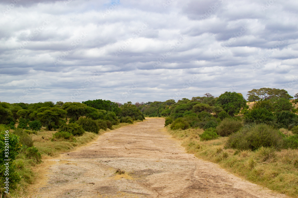 Dry channel of a river in Tarangire National Park, in Tanzania, with trees at both sides