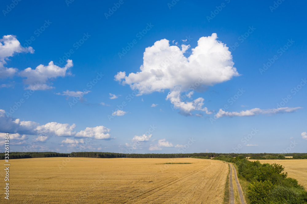 Brandenburger Landschaft von oben im Sommer
