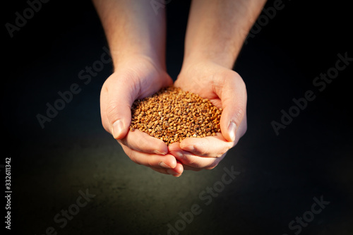 Roasted buckwheat in a hands isolated top view. Buckwheat background, texture, the rump. Useful of buckwheat. Ingredient, product, cook. Dietary product. Gluten free ancient uncooked grain for health
