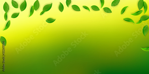 Falling green leaves. Fresh tea neat leaves flying