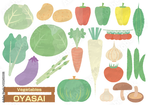 野菜セット　水彩風　イラスト