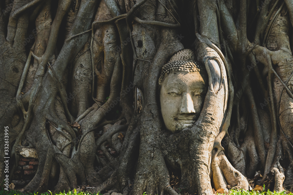 Buddha head in tree roots at Wat Mahathat temple Buddha head in tree roots at Wat Mahathat temple