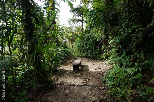 Costa Rica - Monteverde cloud forest