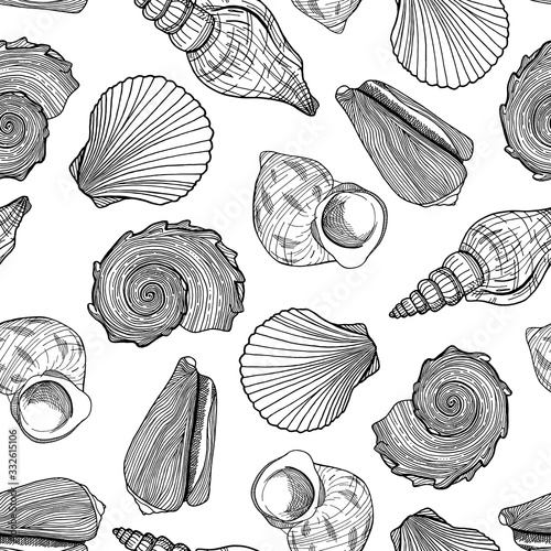 Black and white seamless pattern with seashells. Hand drawn outline vector illustration of underwater shells. Nautical background. Marine elements on white for cards, decoration, textile, print