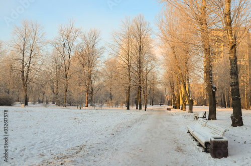 Winter landscape, snow-covered Park.