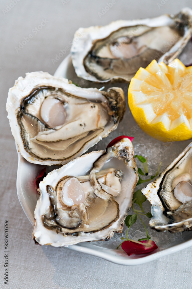 OYSTERS WITH LEMON AND CHOPPED ICE OYSTERS WITH LEMON AND CHOPPED ICE