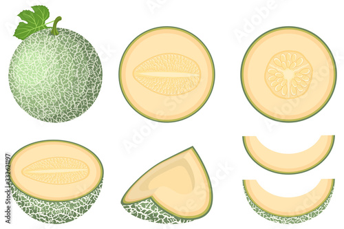 Set of fresh whole, half, cut slice melon fruit isolated on white background. Cantaloupe melon. Summer fruits for healthy lifestyle. Organic fruit. Cartoon style. Vector illustration for any design.