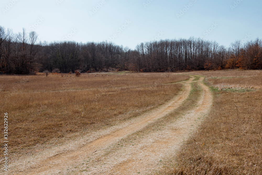 Naklejka premium a field with a tree in the background