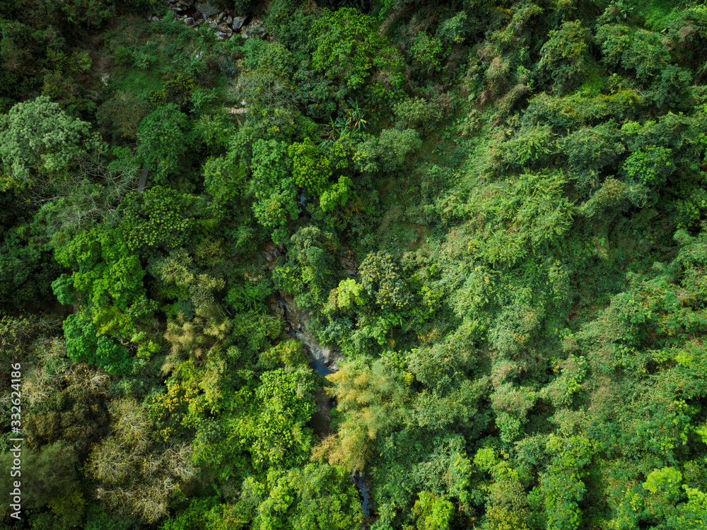 Aerial view of small creek in tropical forest