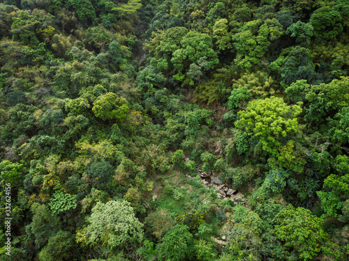 Aerial view of small creek in tropical forest