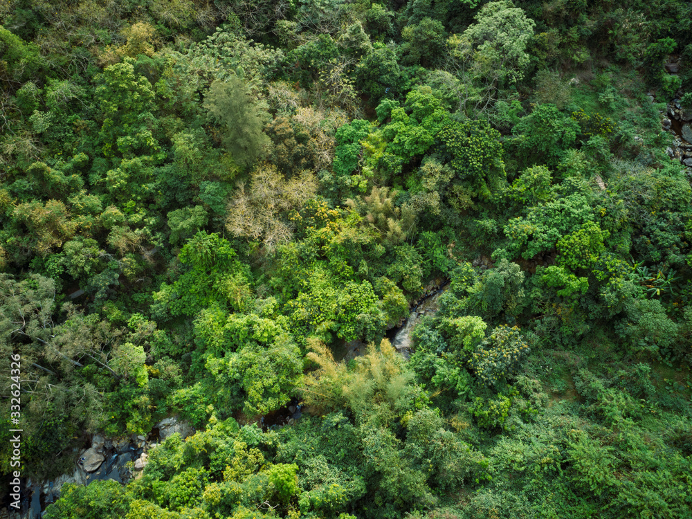 Aerial view of small creek in tropical forest Aerial view of small creek in tropical forest