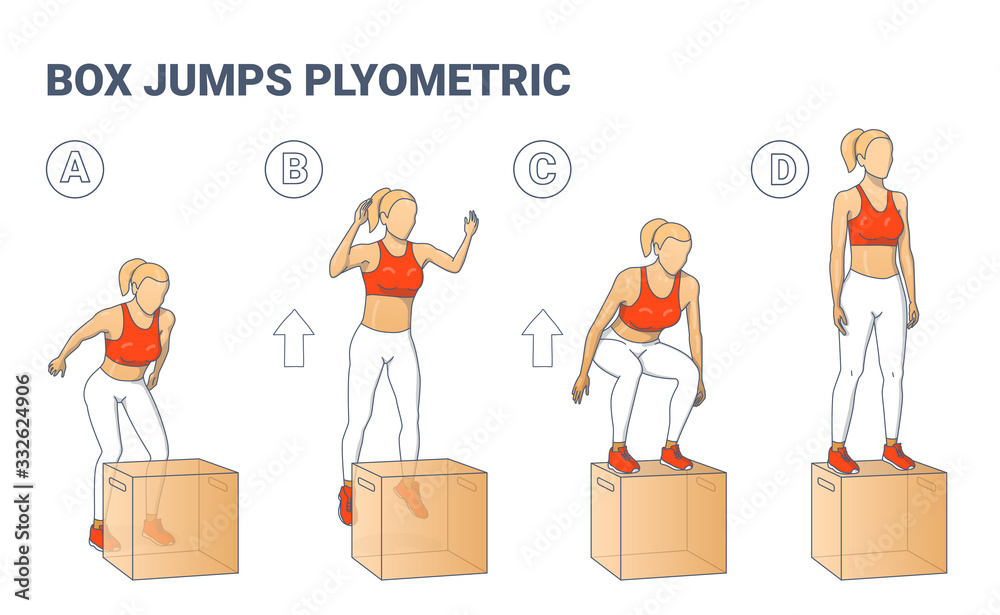 Box Jumps Woman Silhouettes. Colofull Plyometric Exercise illustration