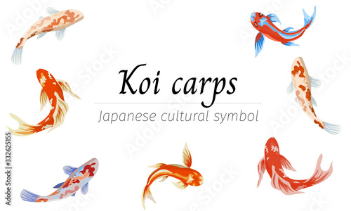 Set of japanese decorative fish. Vector illustration of koi carps on a white background in a flat style for cards, posters, greetings.