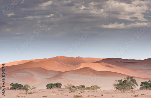 Dunes in the Namibian desert