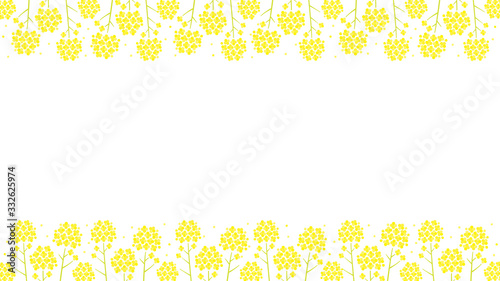 菜の花のベクター背景イラスト