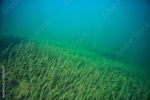 lake underwater landscape abstract / blue transparent water, eco nature protection underwater