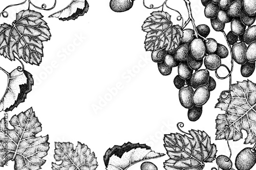 Frame and background with the image of a bunch of grapes and leaves. Hand drawn graphic sketch with dots isolated on a white background. Vintage style for design menus, labels, advertisements, covers.
