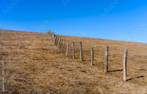 Field with a fence of tree trunks