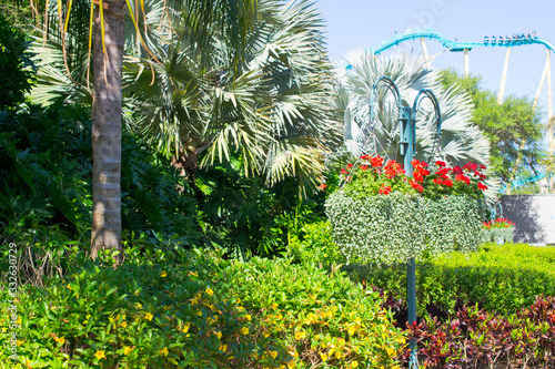Tropical garden in Orlando Florida USA 