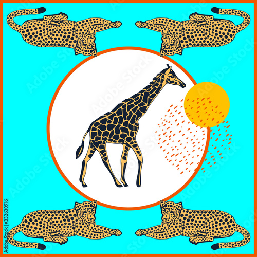 Photography Vector background hand drawn doodle giraffe and wild cats
