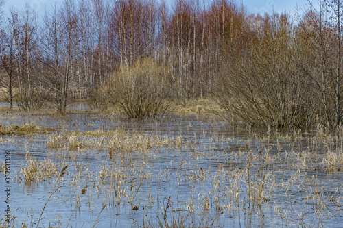 Obraz na płótnie field flooded with water during the spring flood of rivers w salonie