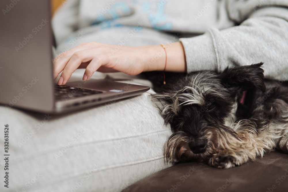 Teenage girl with a dog sitting on a sofa indoors, working on a laptop. Woman working at home. Home office. Teenage girl with a dog sitting on a sofa indoors, working on a laptop. Woman working at home. Home office.