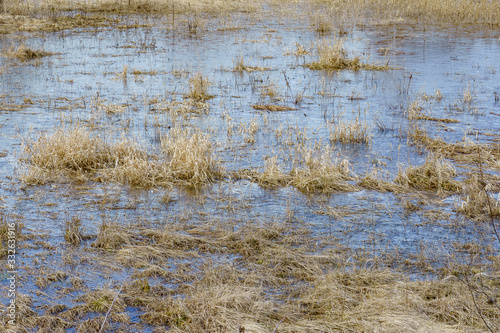 Obraz na płótnie field flooded with water during the spring flood of rivers w salonie