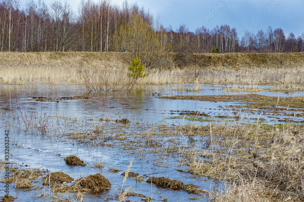 field flooded with water during the spring flood of rivers