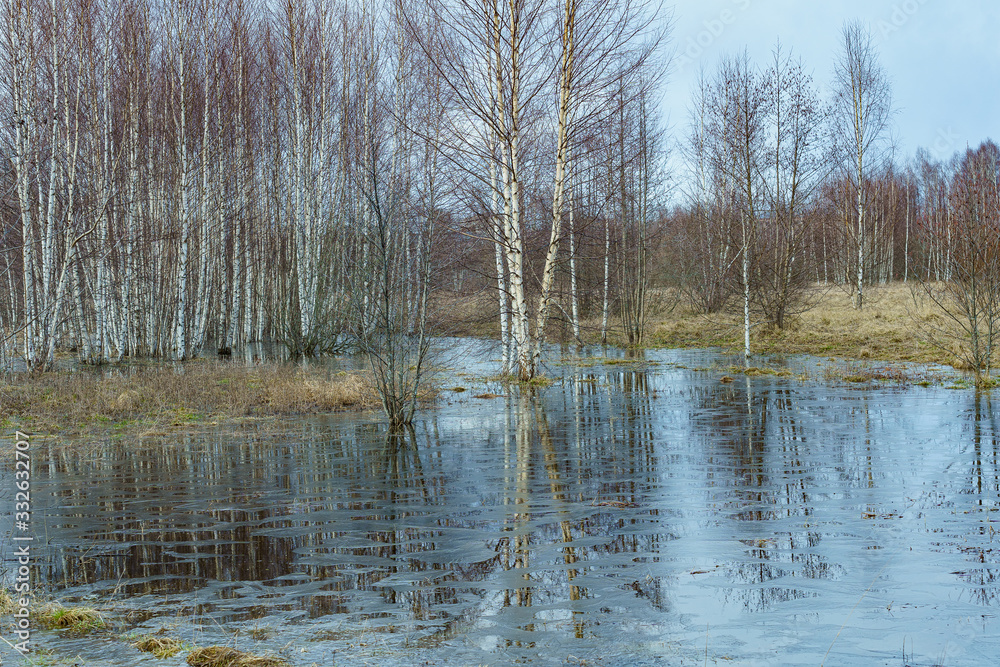 field flooded with water during the spring flood of rivers