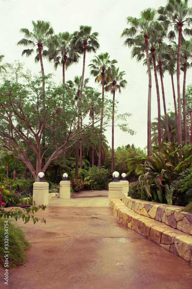 Tropical garden in Orlando Florida USA	