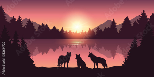 wolf pack at beautiful purple forest and lake nature landscape at sunrise vector illustration EPS10