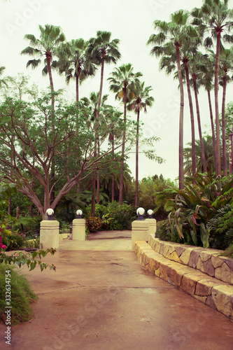 Tropical garden in Orlando Florida USA  © Dmitro